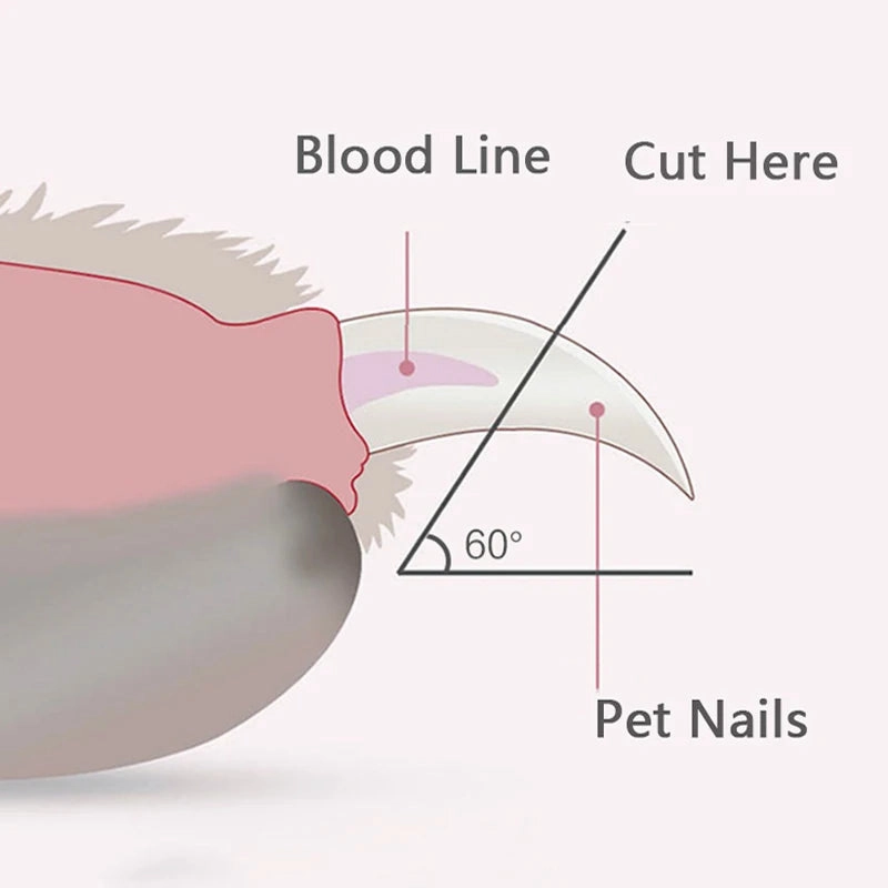 2307GP Professional Pet Nail Clippers with Led Light Pet Claw Grooming Scissors for Dogs Cats Small Animals Paw Nail Trimmer Pet Supply