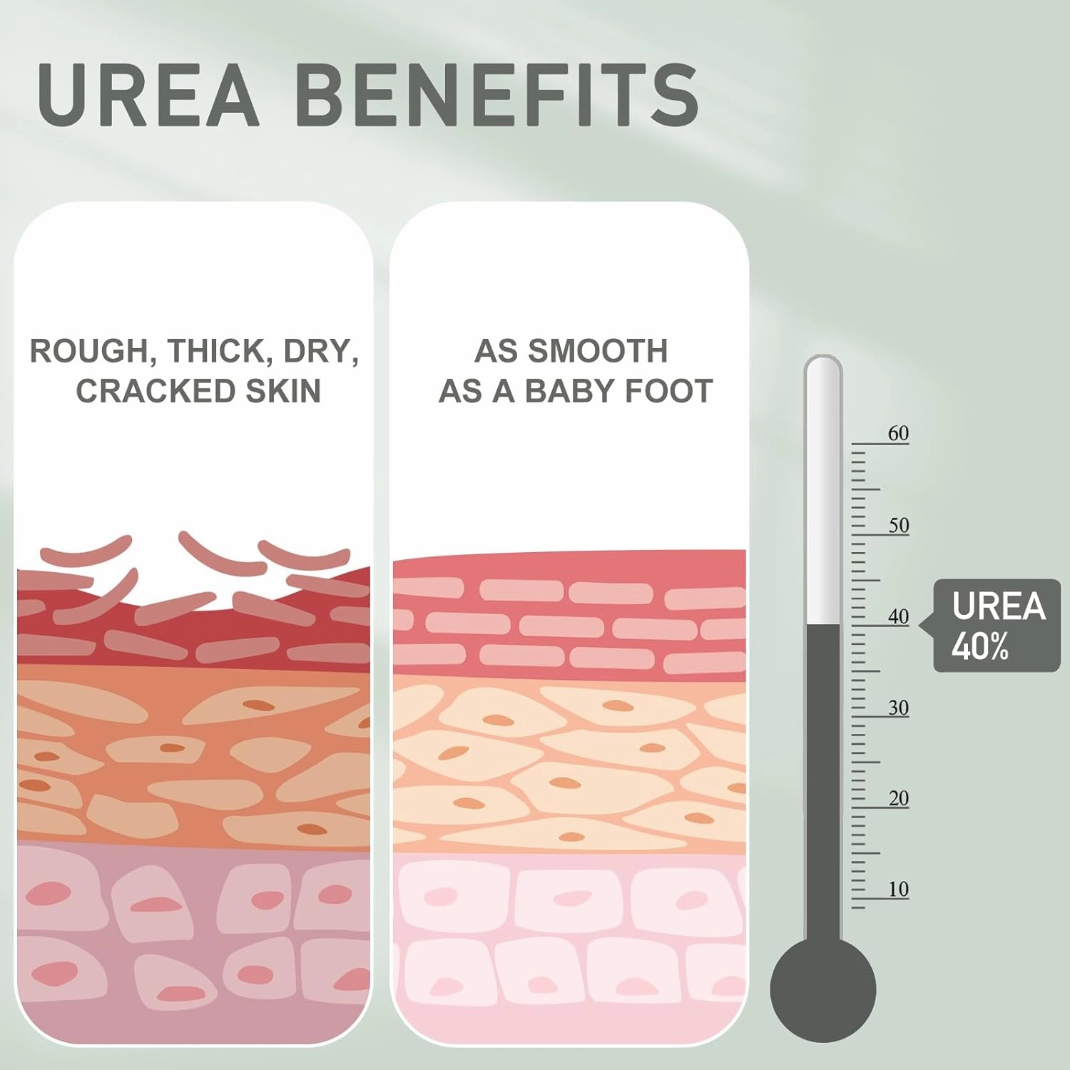 2 Packs Urea Cream 40 Percent - Foot & Hand Cream, for Dry, Cracked Heels, Feet, Knees, Elbows, and Hands, Callus Remover, Maximum Strength Urea Lotion for Softening and Moisturizing