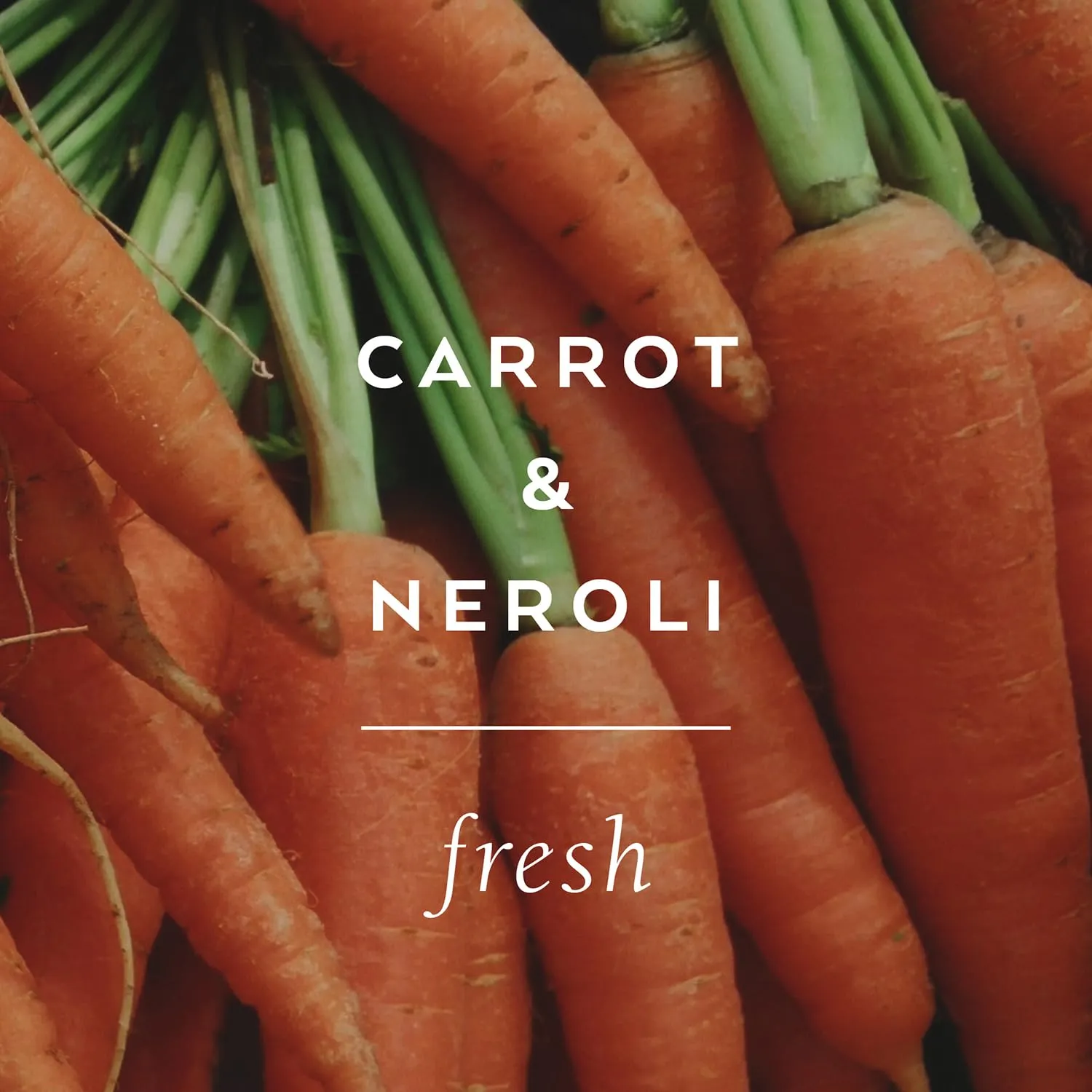 Carrot & Neroli Handcreme, 4 oz. – Hand Lotion for Women, Hand Cream for Dry Cracked Hands, Moisturizing Hand Cream, Shea Butter Lotion, Paraben Free & Vegan