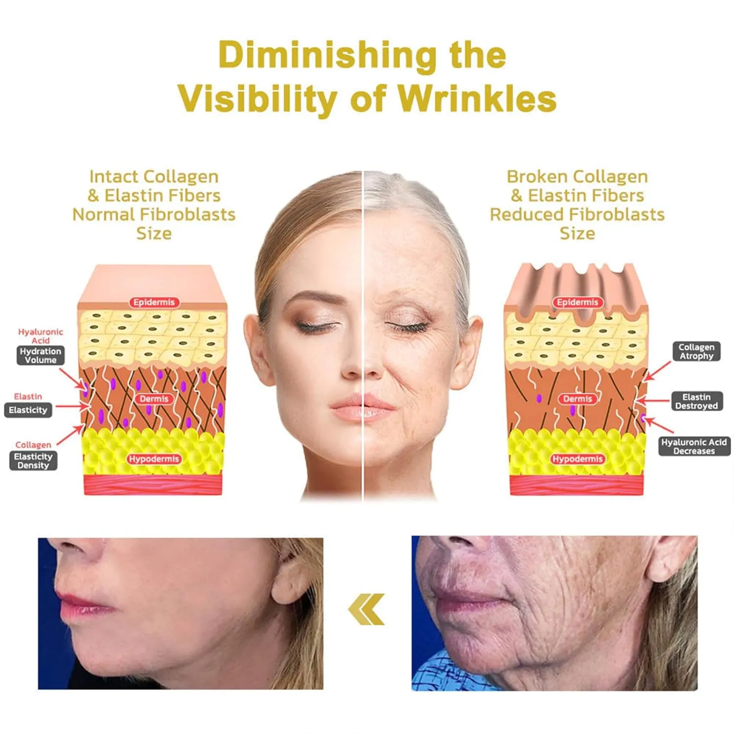 Firming & Renewal Cream, Advanced Skin Firming Cream, Multi Purpose Anti Wrinkle cream, Restore skin Elasticity, for All Skin Types (1 Bottle)