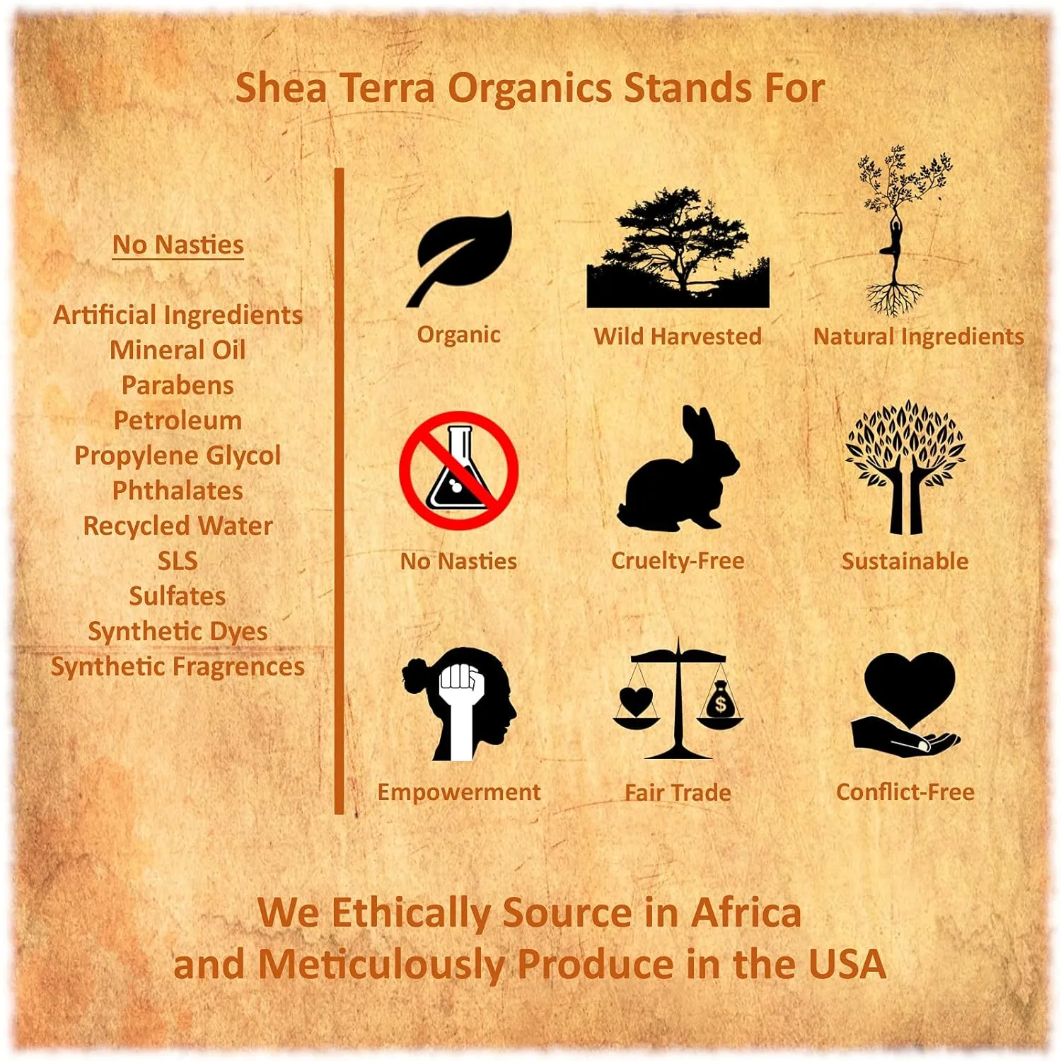 Shea Terra Rubignosa Rose Hips Cold-Pressed Extra Virgin Oil |All Natural & Organic Oil Rich in Antioxidants and Fatty Acids for Skin Repair & Rejuvenation– 2 oz