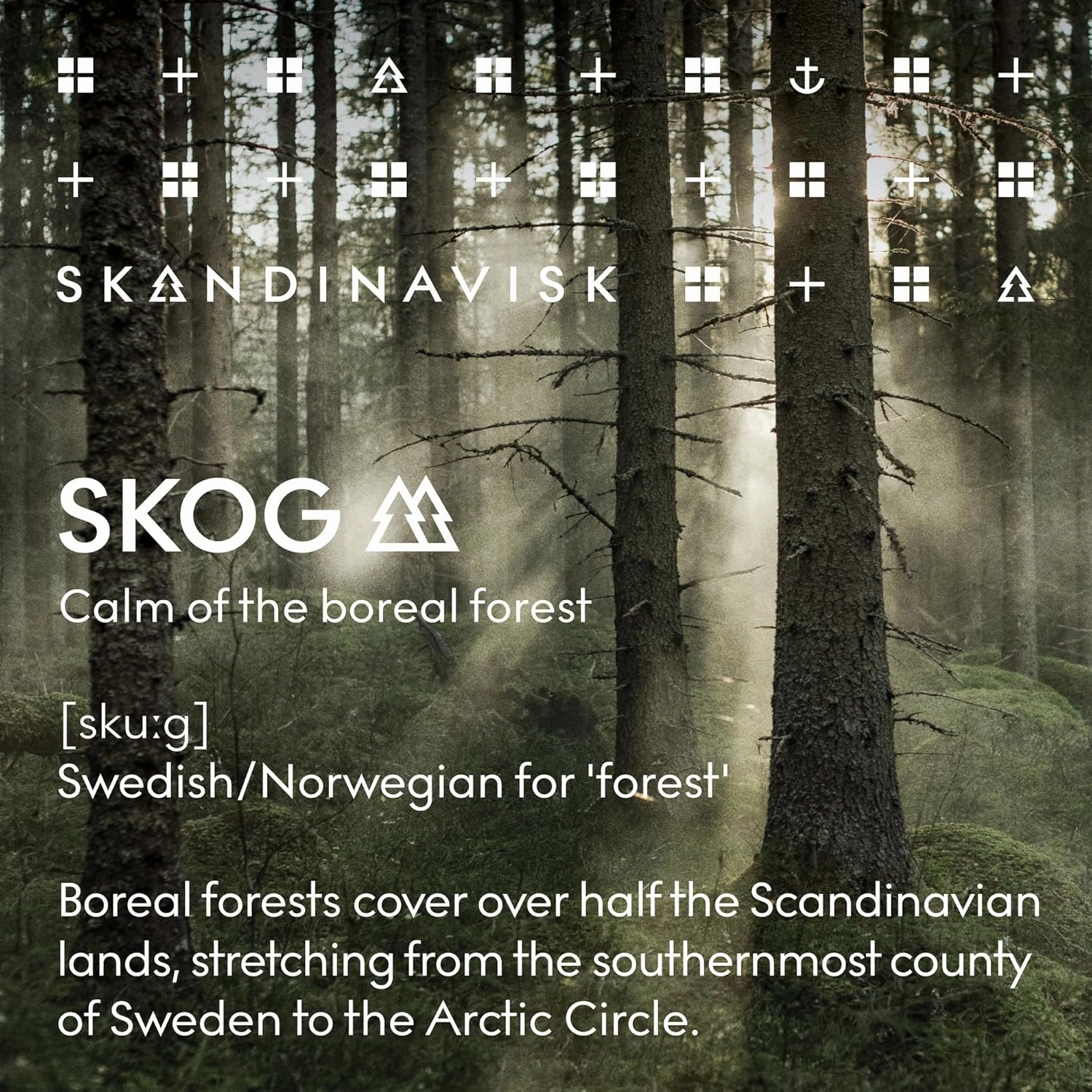 Skandinavisk SKOG ‘Forest’ Hand & Body Wash, Scent Notes: Pine Needles and Fir Cones, Birch Sap and Woodland Lily of the Valley, Coloured Glass Bottle With Pump, 6.75 fl. oz.