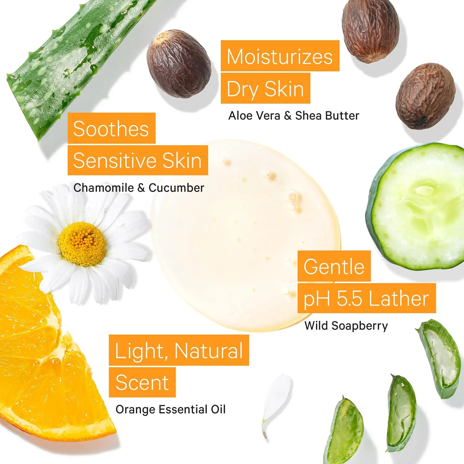 Tree to Tub Citrus Body Wash for Dry Skin & Sensitive Skin - pH Balanced Moisturizing Body Wash, Hydrating Sulfate Free Body Soap for Women & Men