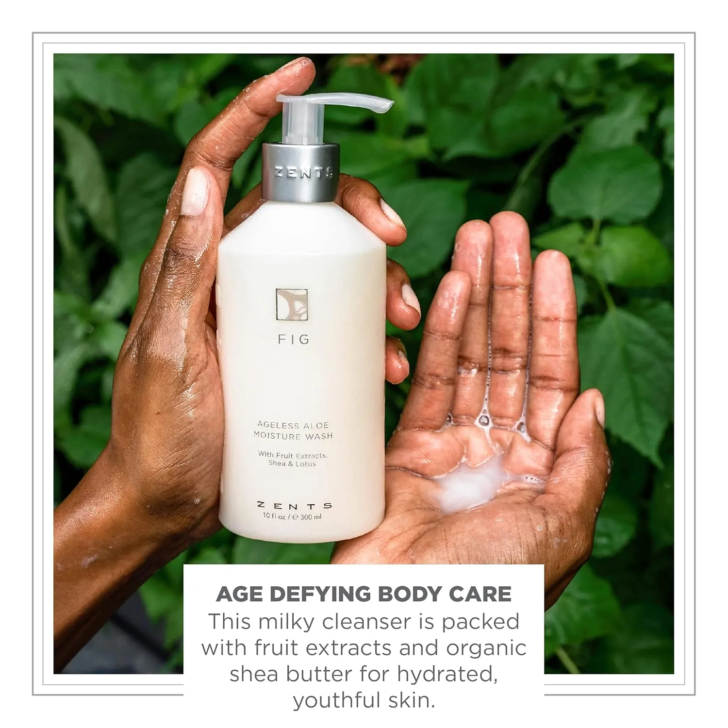 Zents Hand & Body Wash (Fig Fragrance) | Hydrating Anti-Aging Cleanser with Organic Shea Butter & Aloe for Dry Skin | Gentle & Nourishing | 10 fl oz